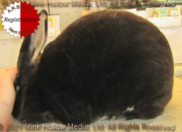 0-main.jpg 0-main.jpg