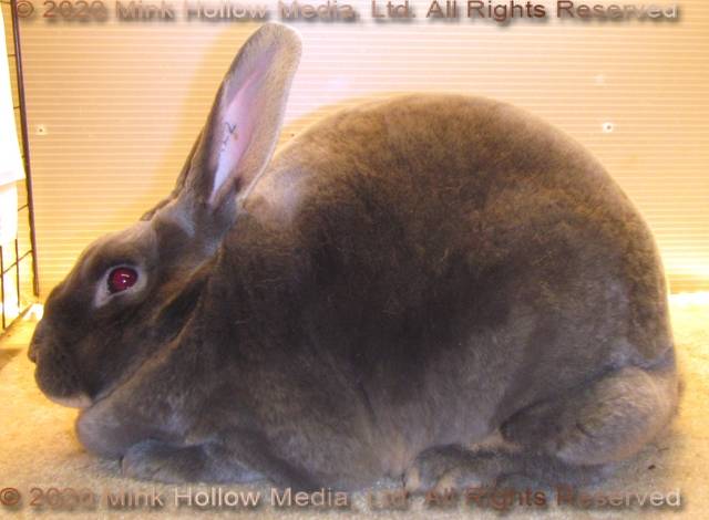 0-main.jpg 0-main.jpg