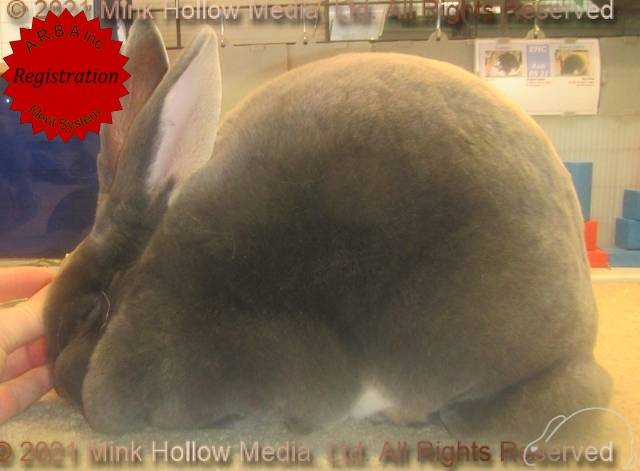 0-main-1.jpg 0-main-1.jpg