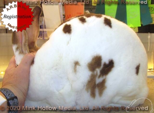 0-main.jpg 0-main.jpg