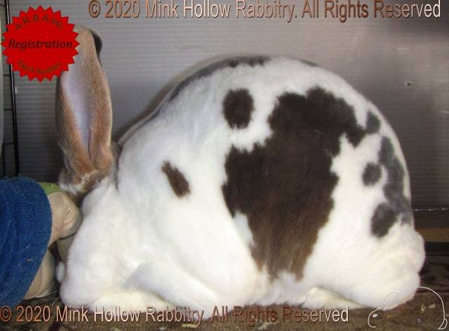 0-main.jpg 0-main.jpg