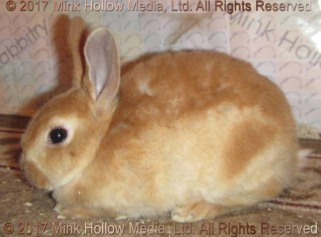 aid-2017-10-28-17-57-22_wm.jpg aid-2017-10-28-17-57-22_wm.jpg