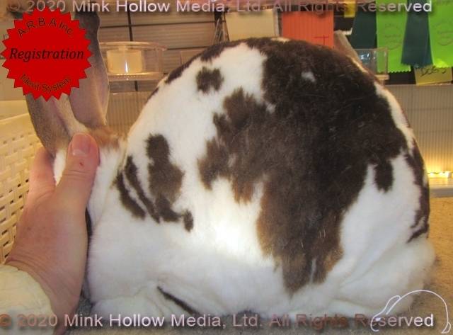 0-main.jpg 0-main.jpg