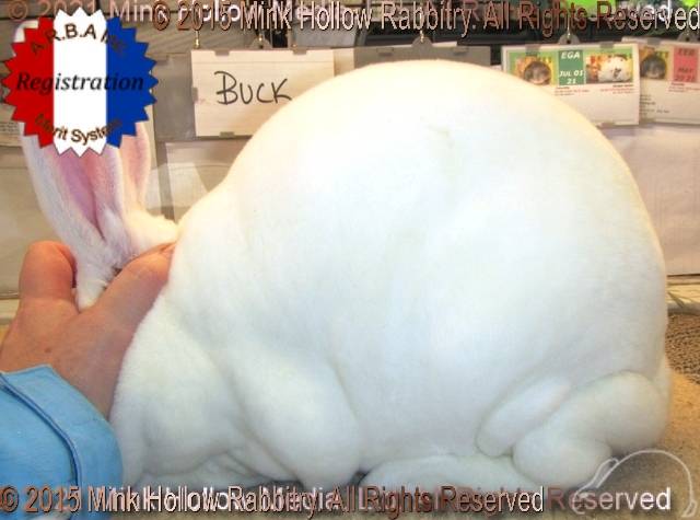 0-main.jpg 0-main.jpg