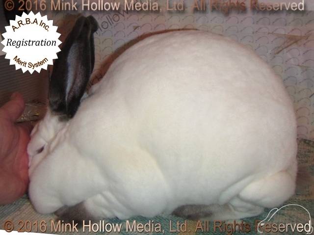 0-main.jpg 0-main.jpg