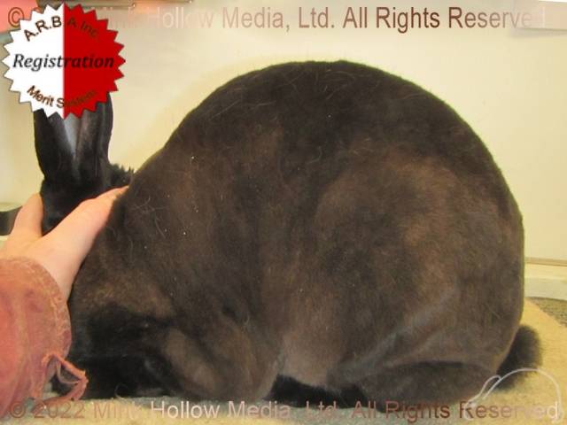 0-main.jpg 0-main.jpg