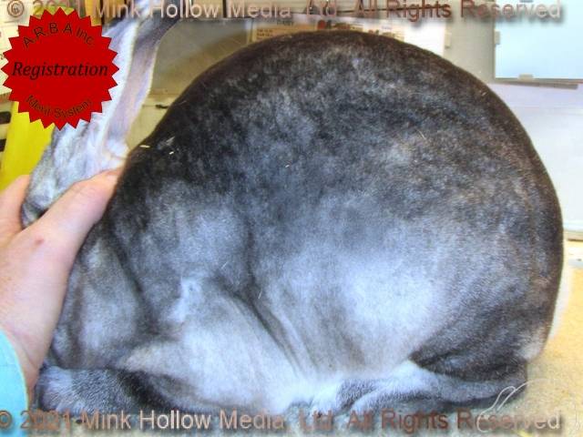 0-main.jpg 0-main.jpg