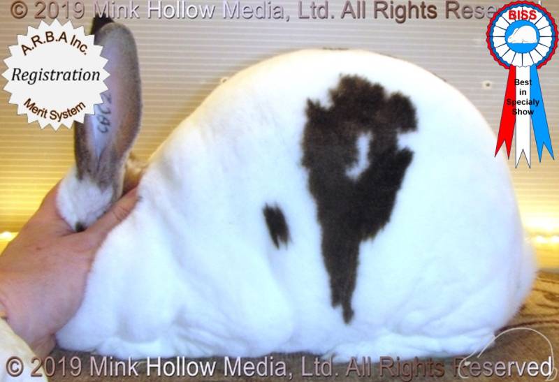 0-main.jpg 0-main.jpg