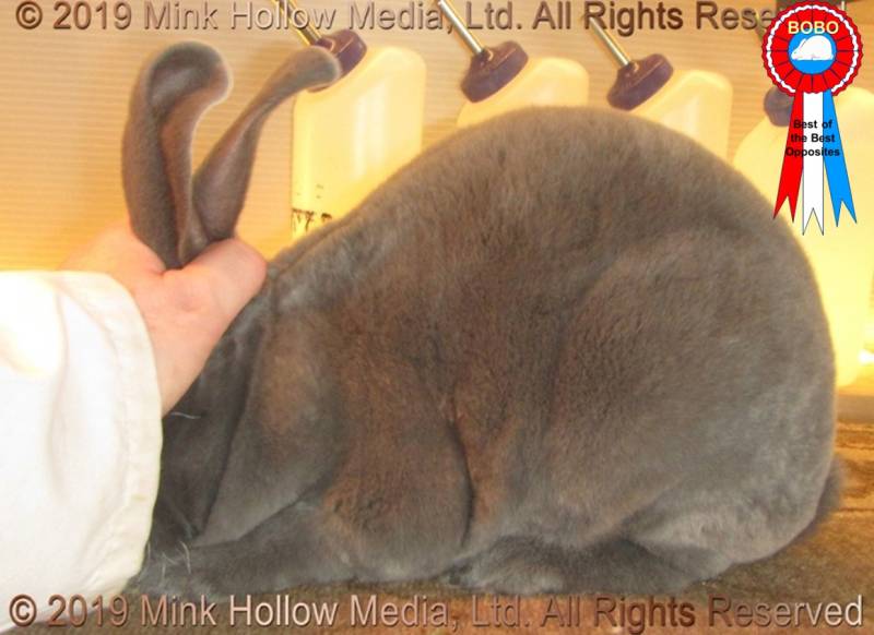 0-main.jpg 0-main.jpg