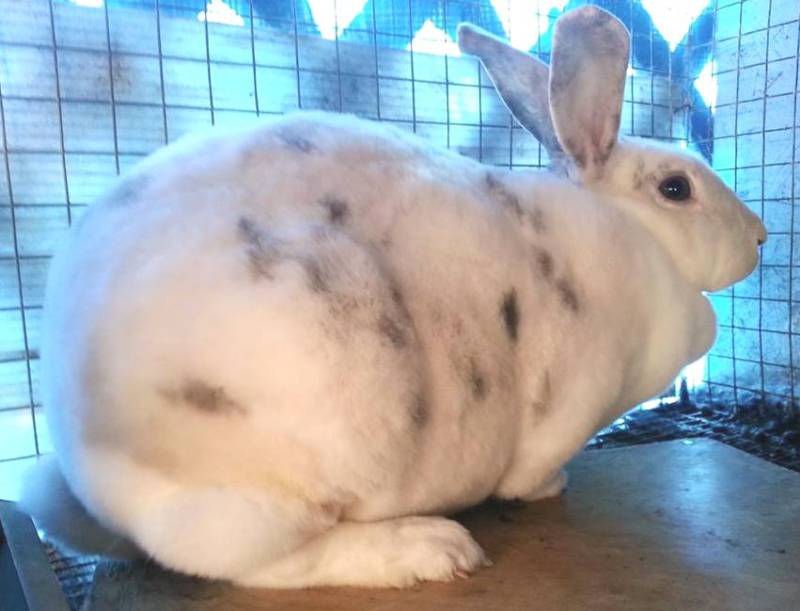 0-main.jpg 0-main.jpg