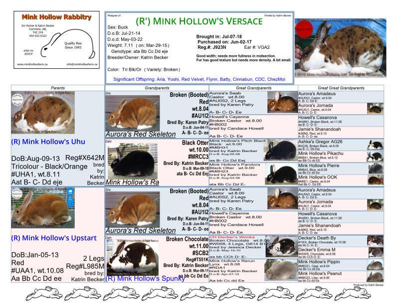 versace-ped2_1.png versace-ped2_1.png