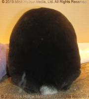 lilot2019-06-27-17-06-41_wm.jpg