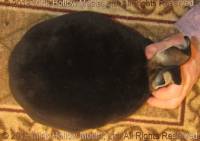 lilot2019-06-27-17-06-15_wm.jpg