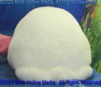 fiby-2023-05-18-14-50-41_wm.jpg