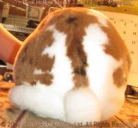 maggie-2019-06-02-17-24-01_wm.jpg