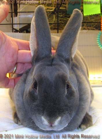eowyn-2021-05-08-16-37-49_wm.jpg