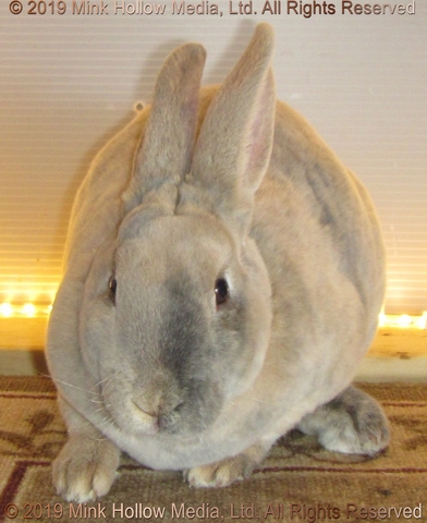 buddy-2019-03-17-16-09-18_wm.jpg