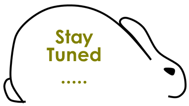 stay-tuned.png