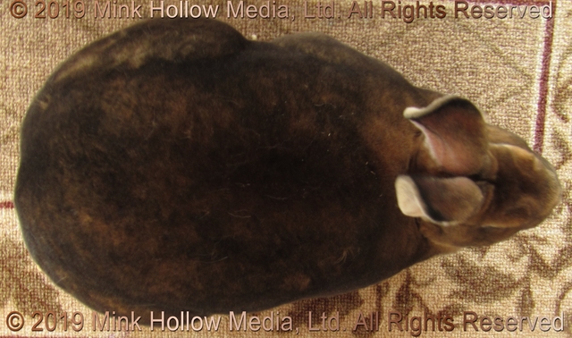 clatuu-2019-06-02-18-11-43_wm.jpg