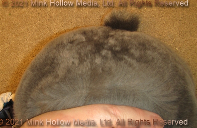 eowyn-2021-05-25-17-20-27_wm.jpg