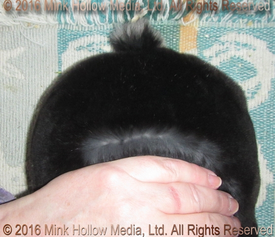 yhc1-2016-11-28_19-54-51_wm.jpg