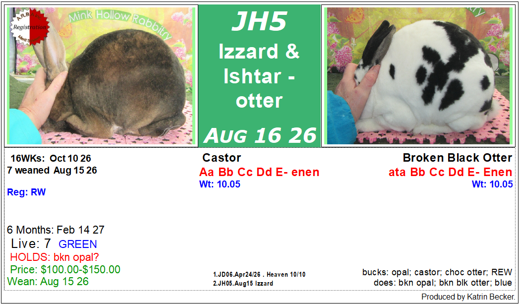 litter-jh4.png